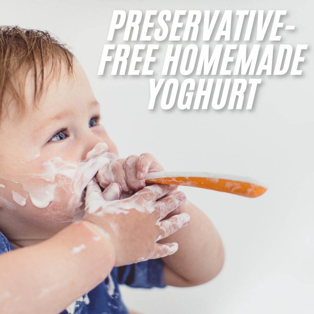 Trendi Digital Yoghurt Maker with 7 Glass Jars – Electric, Compact, Stainless Steel Machine with LED Display & Timer – 180ml Glass Containers – for Fresh, Healthy Homemade Desserts