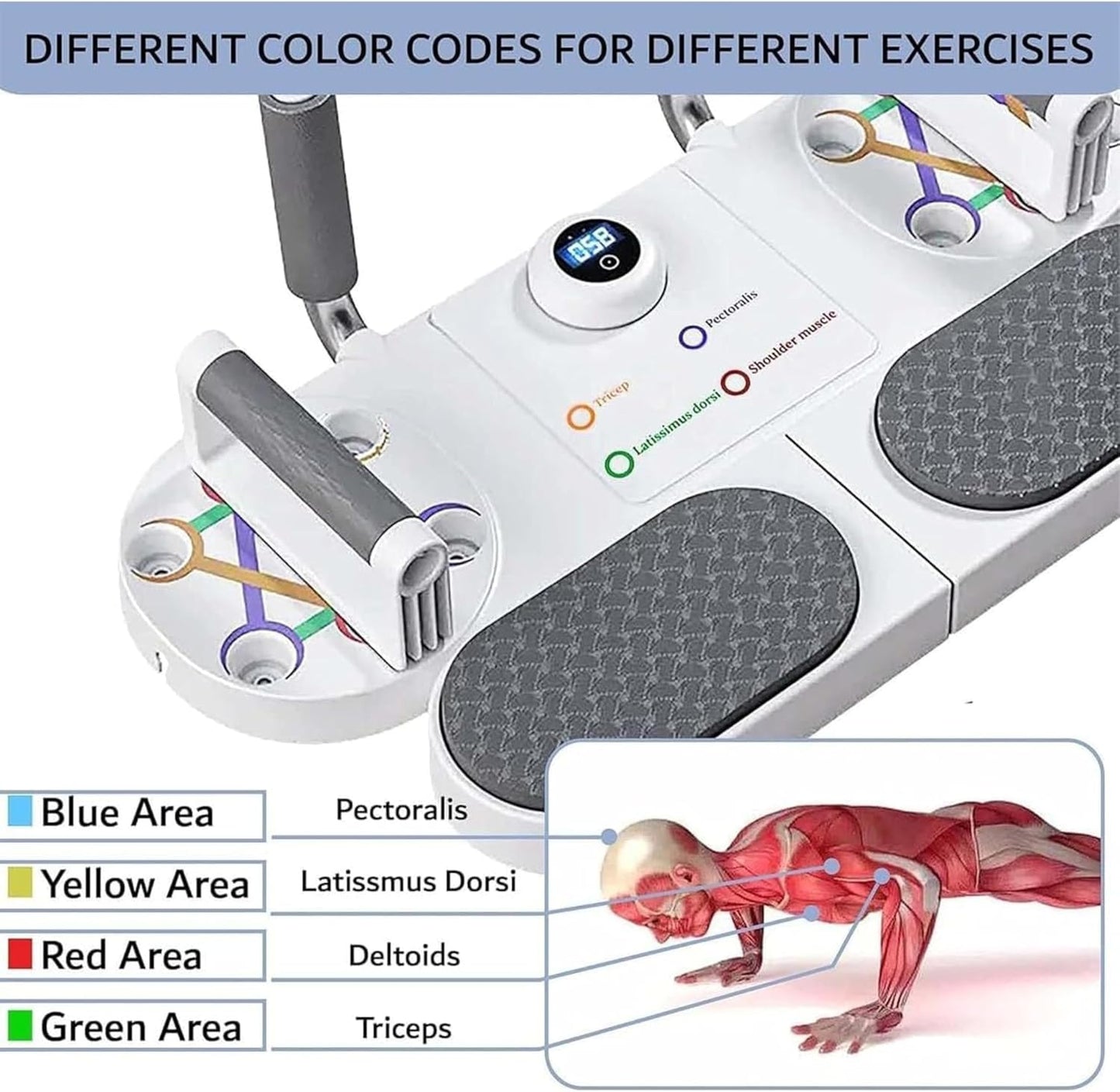 Trendi 5 in 1 Push Up Board – Multifunctional Fitness Training Push-Up Board with Resistance Bands & Timer | Full-Body Home Gym Equipment for Chest, Back, Triceps, Shoulders & Core