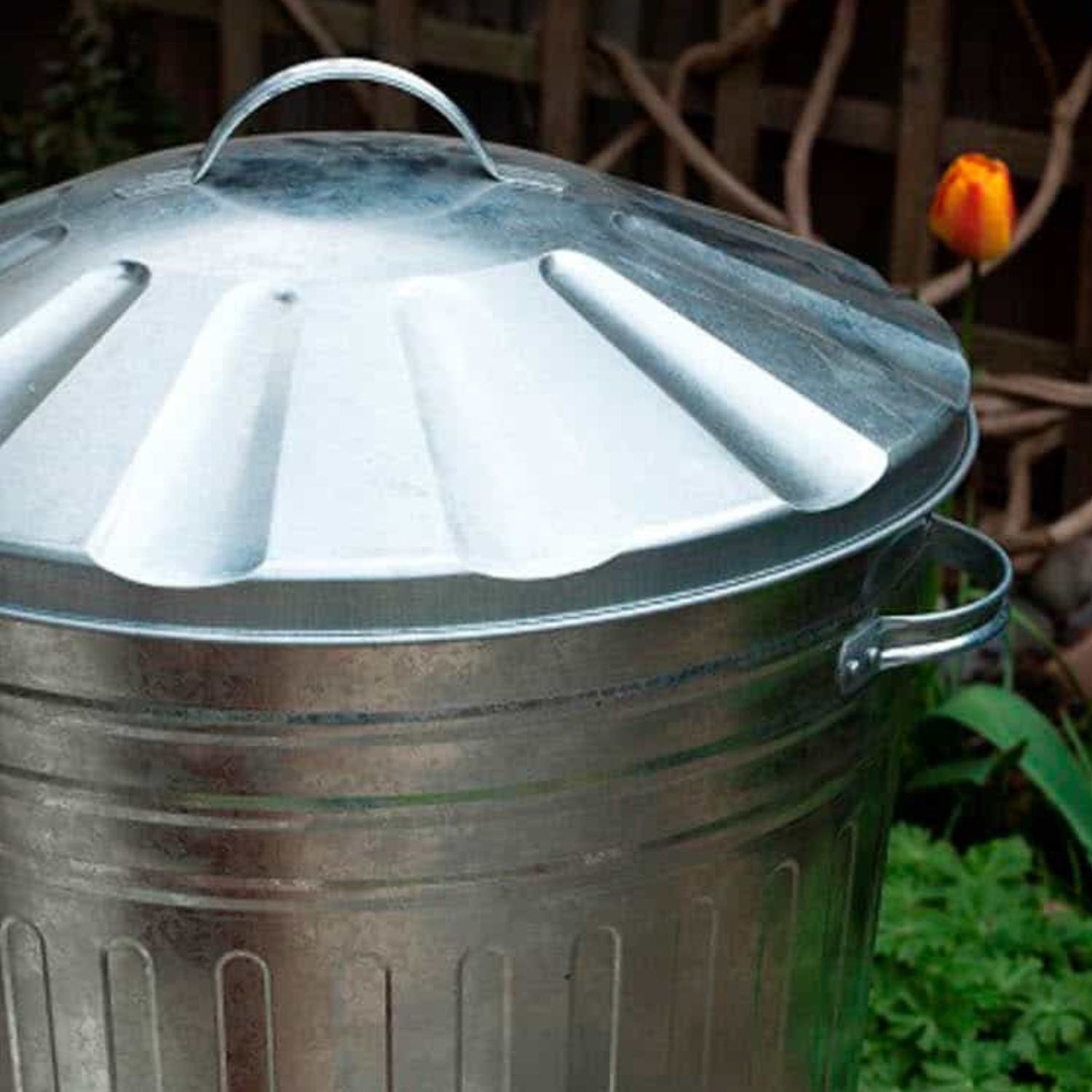 Large galvanised online steel dustbin